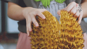 榴蓮剝好肉后，搗成泥狀。