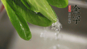 燒一鍋開水，滴一點油，水開后汆燙青菜至斷生即可。