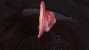 鍋中倒入橄欖油燒熱，放入淡火腿小火煸炒至打卷狀態(tài)。