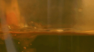 雞肉、鹽、料酒入冷水鍋水開后撇去浮沫，溫水洗凈。