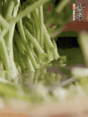 新鮮豌豆苗割下洗凈。